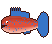 Kerapu Sunu