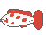 Koi