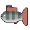 Nila