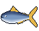 Tuna Sirip Kuning